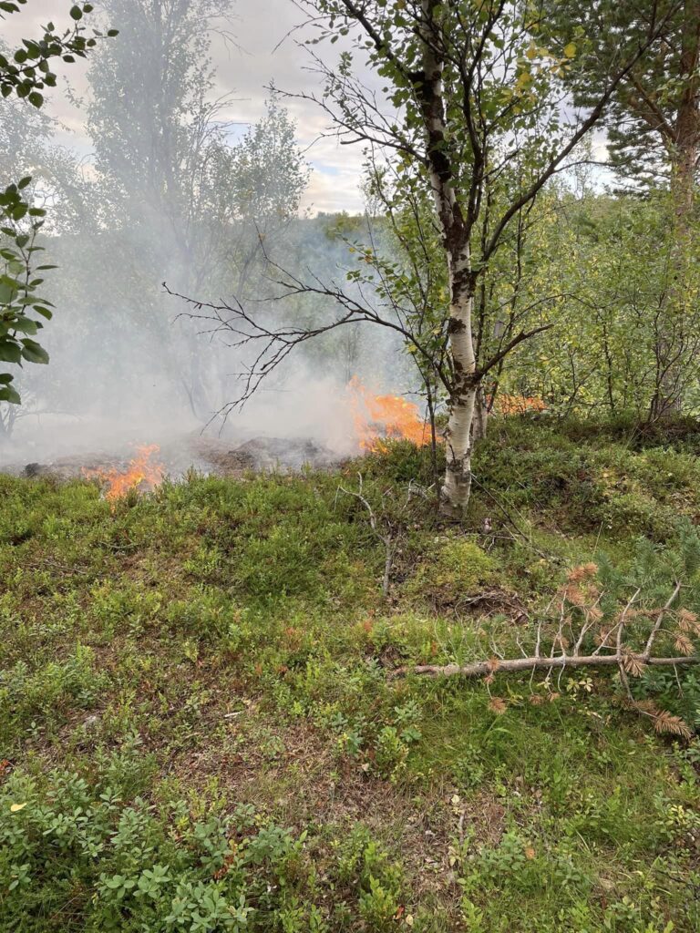 Det er svært tørt ute i naturen etter langvarig varme.  